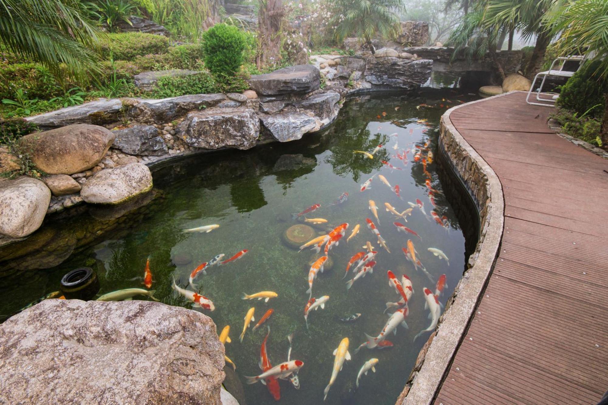 Sapa Catcat Hills Resort & Spa Exteriör bild